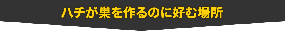 ハチが巣を作るのに好む場所