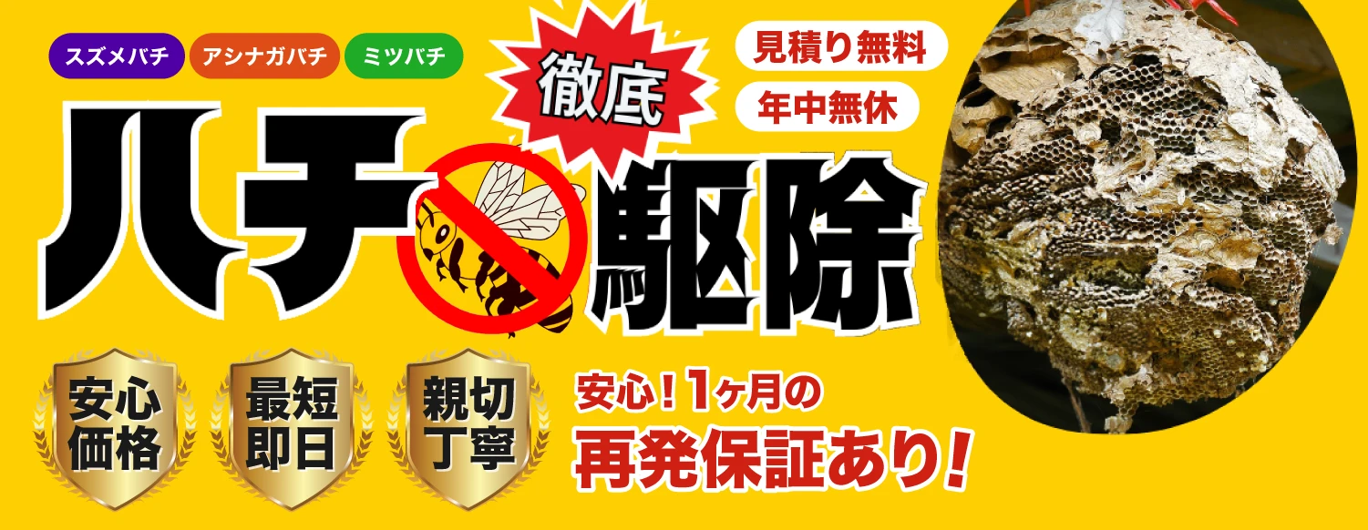 ハチ徹底駆除 見積もり無料・年中無休・１ヶ月の再発保証あり！